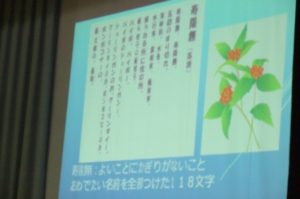 dscf7998
